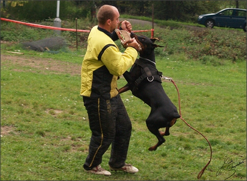 Training in Prague 10/2007